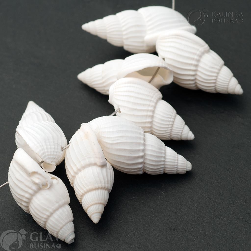 Бусины из белых раковин моллюсков, элегантный вид, 20-24мм, отверстие 1мм, идеальны для украшений и рукоделия.